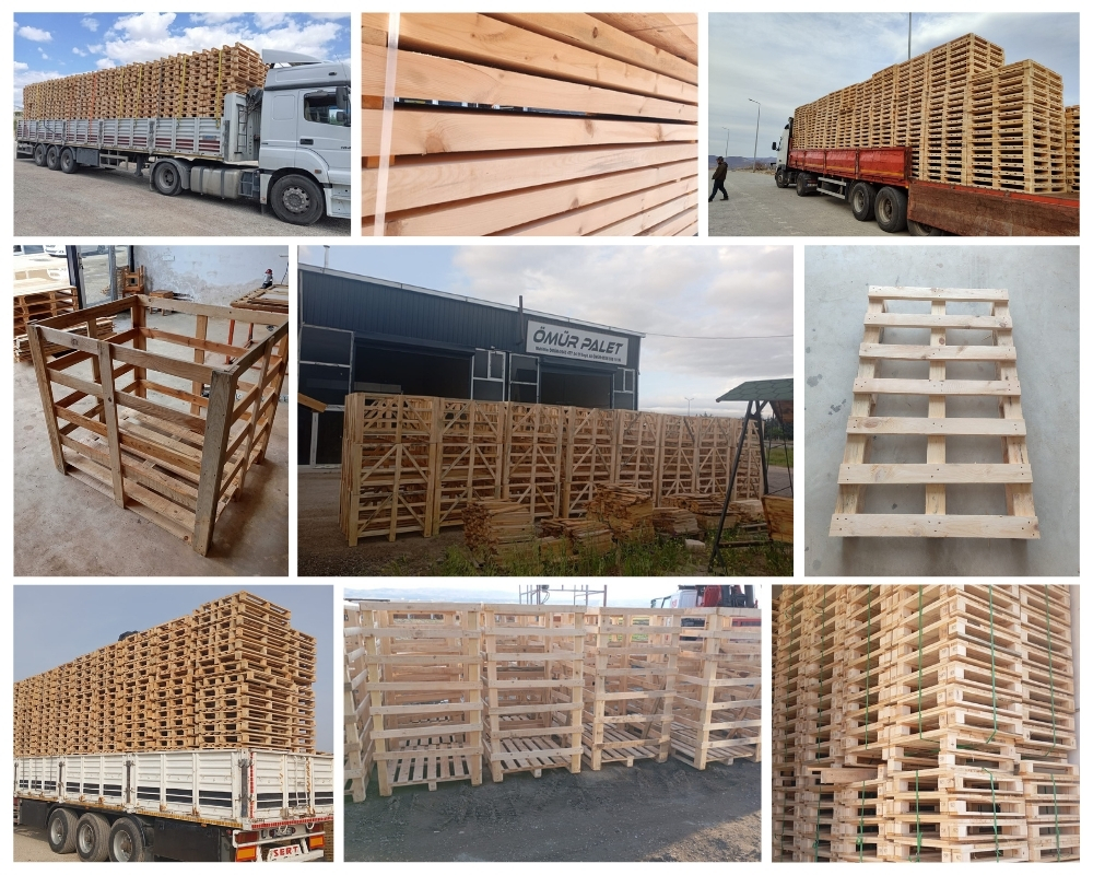 Noorddijk Houten Kisten, Europallets Groothandel Kopen